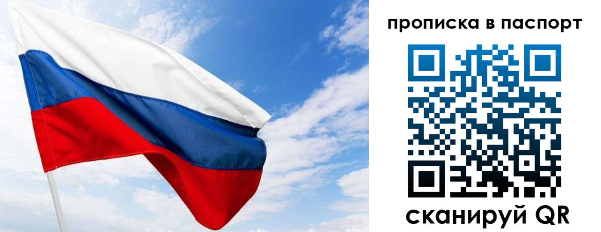 прописка поиск в Светлогорске