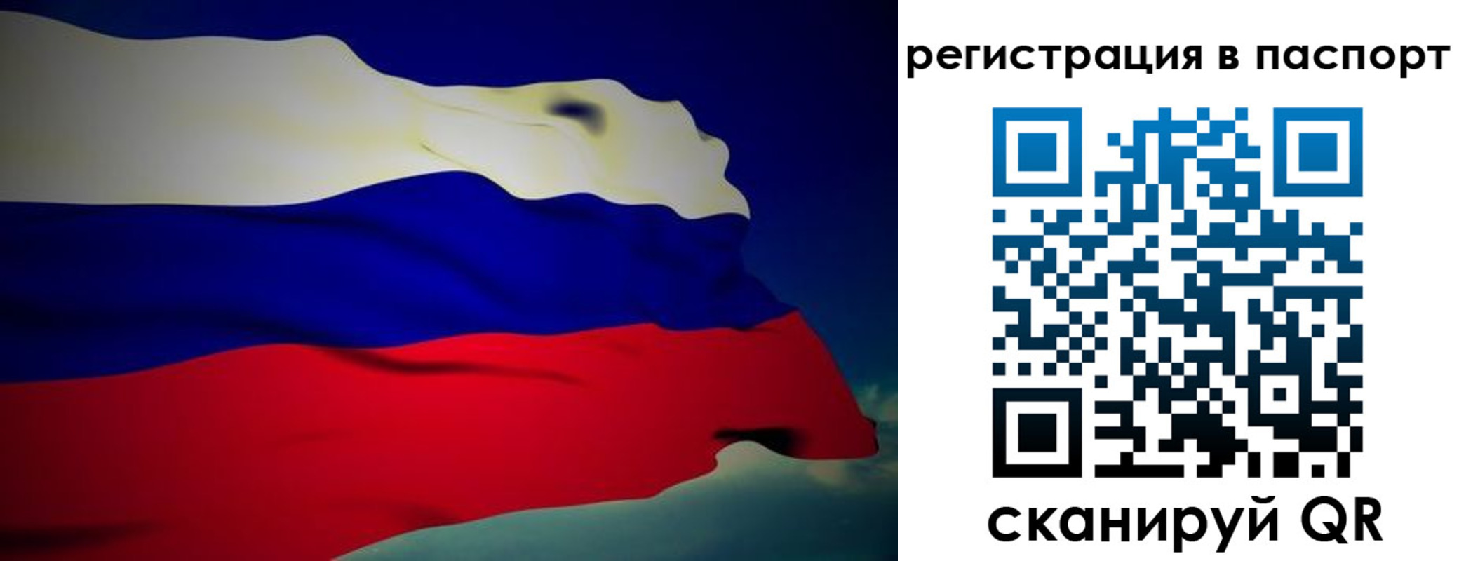 временная регистрация 2025 в Светлогорске